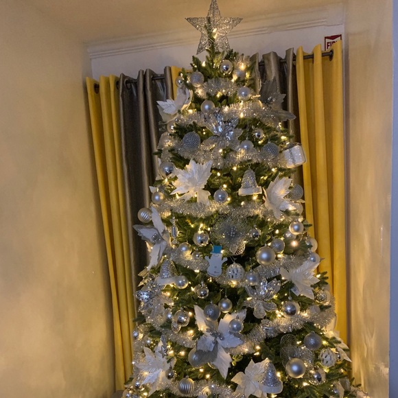 Meet your Posher, Bernely - Picture 1 of 1